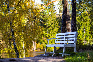 white bench in autumn park