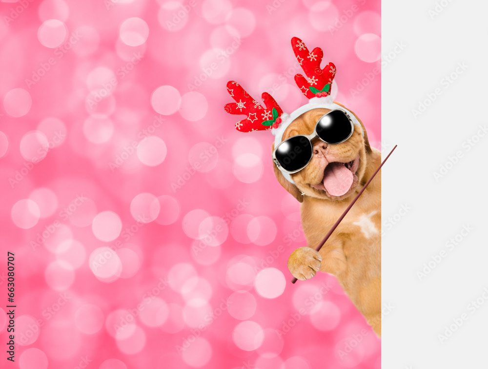 Poster happy mastiff puppy dressed like santa claus reindeer rudolf looking from behind empty white banner 