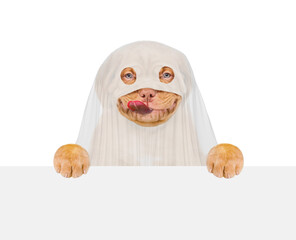 Funny Mastiff puppy dog celebrating halloween in ghost costume and looking above empty white banner. Isolated on white background