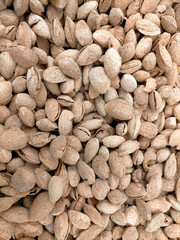 base of toasted young almonds, dried fruit (almond)