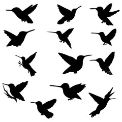 Bird set of black silhouettes vector