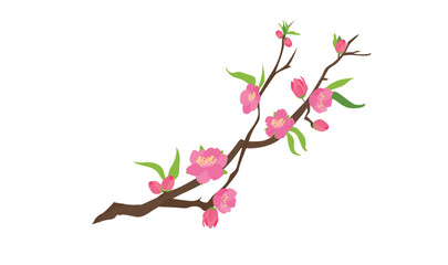 Cartoon peach blossom vector set with flower, leaf, bud, tree branch. Cherry blossom vector. Spring flower.Tet flower. Vietnam traditional new year flower, hoa dao. Flat vector in cartoon style.