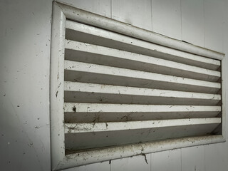 Obraz premium window with shutters