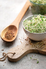 Microgreens grown in a jar.