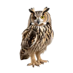 Zelfklevend Fotobehang owl isolated on transparent background © Thetopzz
