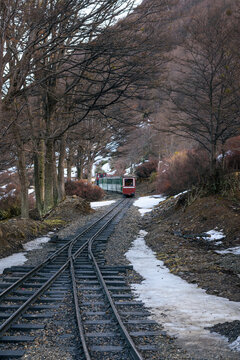 Peque&ntilde;o ferrocarril en medio del bosque nevado. Tren del fin del mundo de trocha angosta. 