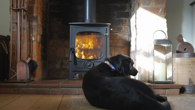 Black dog sitting down in front of wood burning stove