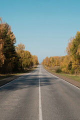 road in autumn
