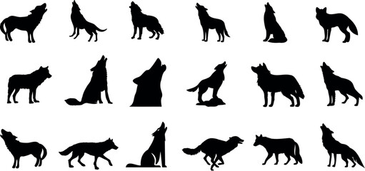 Wolf, silhouette, vector illustration collection. Black, various poses, standing, sitting, walking, howling. Perfect for educational presentations, sports emblems, fairytale illustrations.