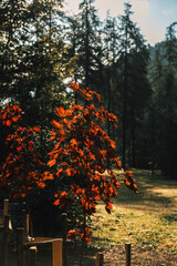 Landscape of Valle d'Aosta