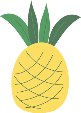 pineapple hand drawn isolate