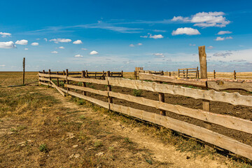 Bright sunny day in the Russian steppe with the fence of a cattle pen or vegetable garden. Blue sky with Altocumulus, Cirrocumulus and Cumulus clouds. Yellow grass on the veld.