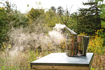 Smoker on tope of a beehive in apiary.