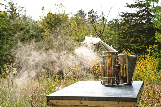 Smoker on tope of a beehive in apiary.