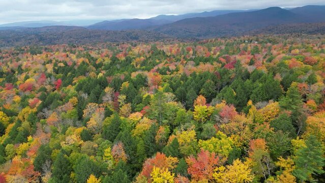 4k footage of trees and mountains in Autumn