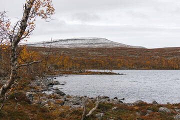 Autumn landscape with yellow leaves on the trees in the mountains
