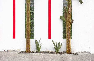 Street view of red and white building facade with cactus, architecture background, Ecuador.