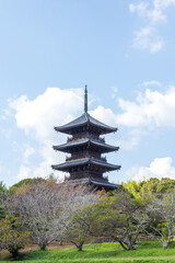Fototapeta na wymiar 日本の岡山県総社市の備中国分寺の秋の美しい風景