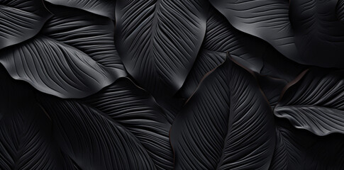 Obraz premium Textures of abstract black leaves for tropical leaf background. Flat lay, dark nature concept, tropical leaf