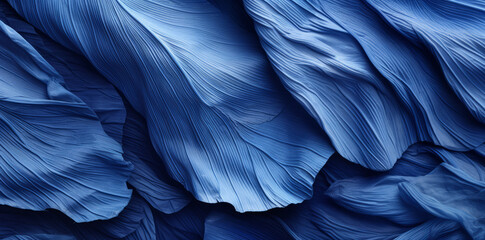Obraz premium Textures of abstract blue leaves for tropical leaf background. Flat lay, blue nature concept, tropical leaf