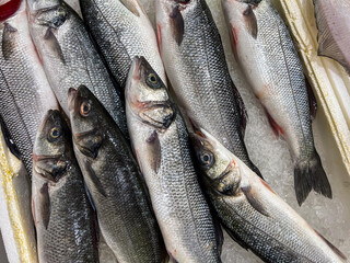 Top view of raw bonito fish on ice on display at seafood fish market