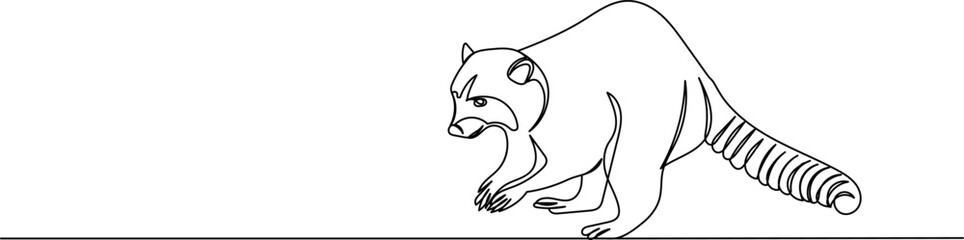 raccoon line drawing on a white background isolated vector