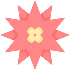 Christmas star icon