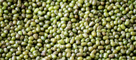 Green Bean lentil , Closeup macro shot