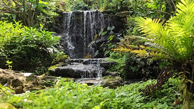 waterfall nature stream garden