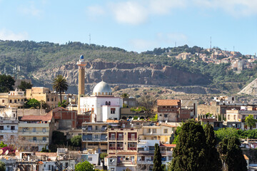 Algiers, Alger, Algeria: Panoramic view of the northern districts. Houses, mosque, green hill.