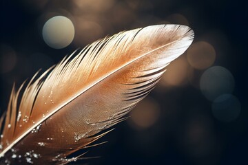 a close-up of a feather on a dark background with blurred feathers in brown and white. Generative AI