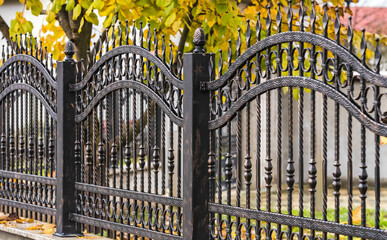 Wrought Iron Fence. Metal fence	
