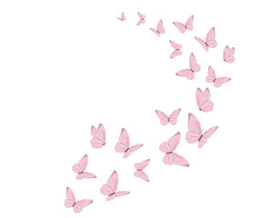 pink rose petals on white background butterflies butterfly watercolor flock