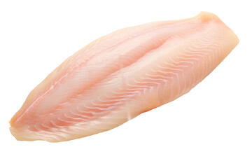 Raw Fresh Fish Fillet