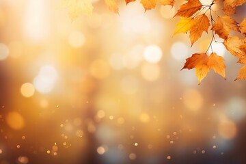 Naklejka na ściany i meble Close up of autumn leaves against autumn nature landscape background 
