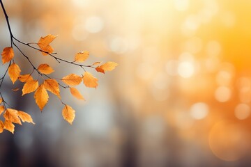 Naklejka na ściany i meble Close up of autumn leaves against autumn nature landscape background 