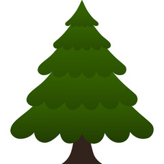 Pine tree 