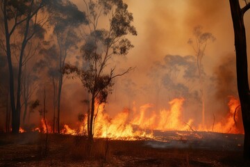 Australian bush fire. Generative AI - obrazy, fototapety, plakaty