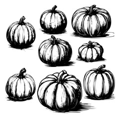 Handmade pumpkin sketch set for Thanksgiving. Collection of ink sketches isolated on white background. Hand drawn vector illustration. Retro style. - obrazy, fototapety, plakaty