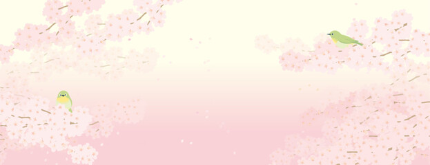 桜の花びらが舞う春の背景イメージ - obrazy, fototapety, plakaty