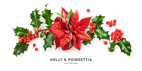 Christmas poinsettia and holly red berries isolated on white background  .