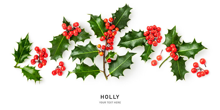 Holly leaves red berry christmas decoration isolated on white background .