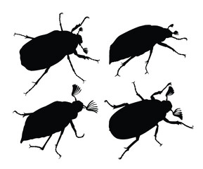 Set of silhouettes of may beetles.
 - obrazy, fototapety, plakaty