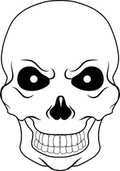 Skeleton Skull Face Vector