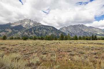 Fototapeta premium Teton Range with Teewinot Mountain and Mount Saint John near Jenny Lake in the Grand Teton National Park