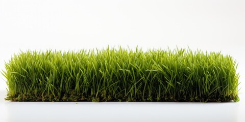Isolated grass carpet on white with space for text, AI Generative - obrazy, fototapety, plakaty