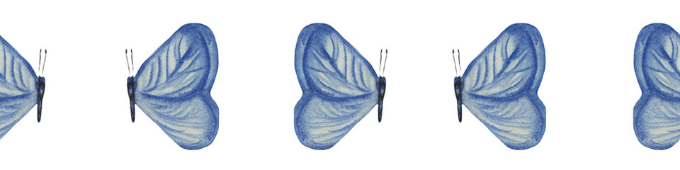 Watercolor seamless border with butterfly. Hand drawn illustration on white background