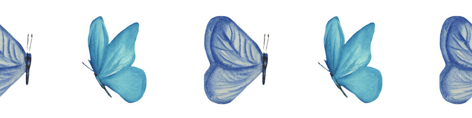 Watercolor seamless border with butterfly. Hand drawn illustration on white background