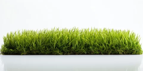 Papier Peint photo Lavable Photographie macro Isolated grass carpet on white with space for text, AI Generative