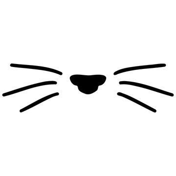 Cat Nose and Whiskers